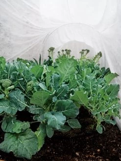 Summerweight Garden Fabric -Garden Supplies 32644 7936 tif