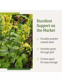 Essex Plant Supports 13 Essex Plant Supports -Garden Supplies 37 423 product details