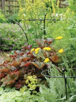 Essex Plant Supports 9 Essex Plant Supports -Garden Supplies 37423 280 tif