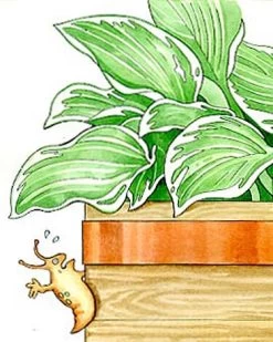 Copper Slug Tape 5 Copper Slug Tape -Garden Supplies 38 994 b