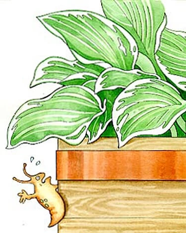 Copper Slug Tape 3 Copper Slug Tape - Image 3