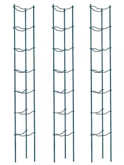 Tomato Ladders, Set Of 3 -Garden Supplies 38184 002E psd