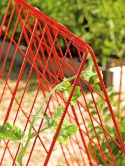 Deluxe Cucumber Trellis -Garden Supplies 39806 542 tif
