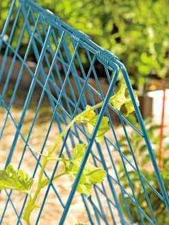 Deluxe Cucumber Trellis -Garden Supplies 39806 BLUE 100 tif