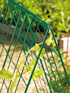 Deluxe Cucumber Trellis -Garden Supplies 39806 GR edit tif
