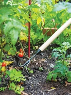 Gardener's Lifetime Long-Handled Double Tool 7 Gardener's Lifetime Long-Handled Double Tool -Garden Supplies 3 4 crop 8592107 2460 tif