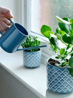 Pinpoint Indoor Watering Can 12 Pinpoint Indoor Watering Can -Garden Supplies 3 4 crop 8612963 03V tif
