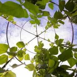 Jardin Tower -Garden Supplies 3 4 crop 8612997 0033