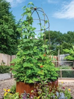 Jardin Tower -Garden Supplies 3 4 crop 8612997 0055