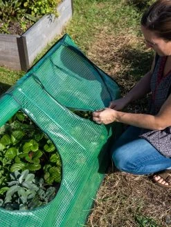 Multi Cloche -Garden Supplies 3 4 crop 8613213 0245