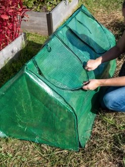 Multi Cloche -Garden Supplies 3 4 crop 8613213 0250