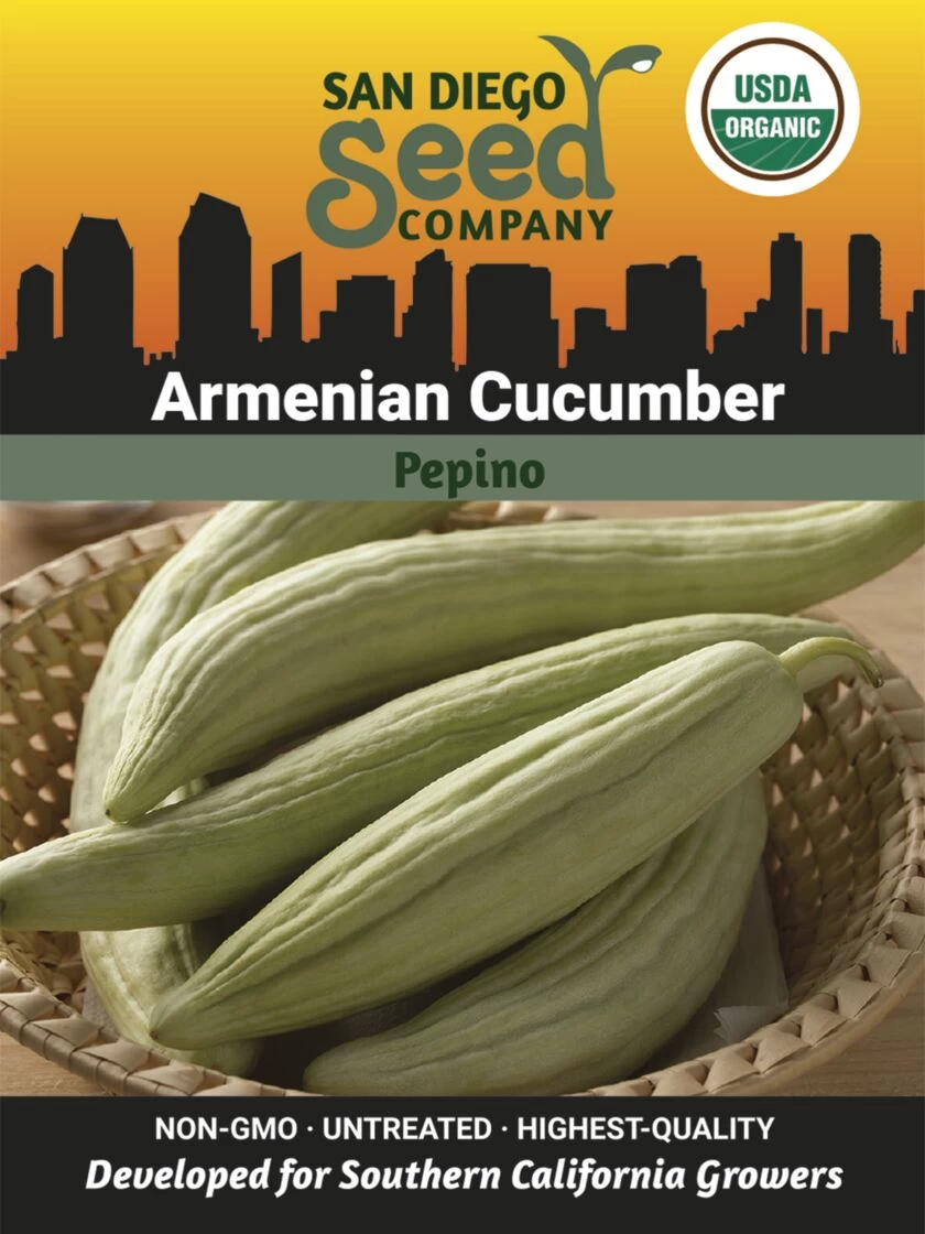 Armenian Cucumber Organic Seeds 1 Armenian Cucumber Organic Seeds