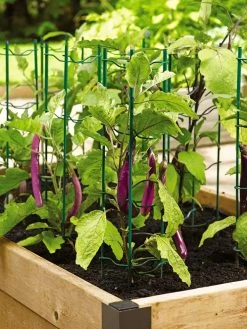 Pepper And Eggplant Stakes, Set Of 3 -Garden Supplies 40308 2116 tif