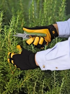 Women's Gold Leaf Soft Touch™ Gloves