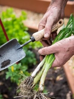 Gardener's Lifetime Trowel -Garden Supplies 8586972 3286 tif