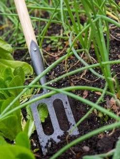 Gardener's Lifetime Spork 8 Gardener's Lifetime Spork -Garden Supplies 8586973 2383 tif