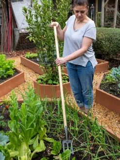 Gardener's Lifetime Spork 9 Gardener's Lifetime Spork -Garden Supplies 8586973 2405 tif