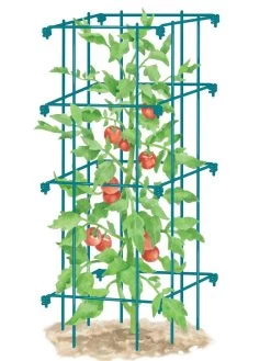 Tomato Cage, Single 6 Tomato Cage, Single -Garden Supplies 8587039 TomatoCage BLUE tif