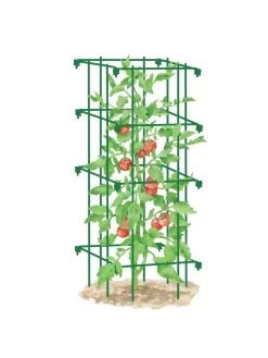 Tomato Cage, Single 7 Tomato Cage, Single -Garden Supplies 8587039 TomatoCage GRN tif