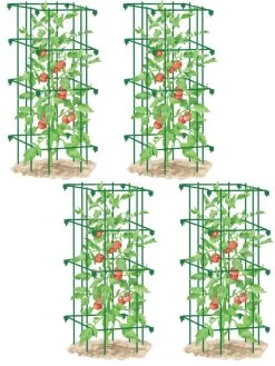 Tomato Cages, Set Of 4 -Garden Supplies 8587040 GR 001E tif