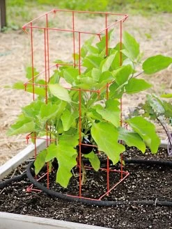 Pepper And Eggplant Cages, Set Of 3 -Garden Supplies 8587048 103 tif