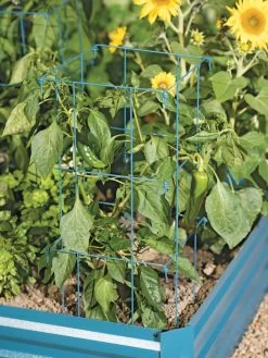 Pepper And Eggplant Cages, Set Of 3 -Garden Supplies 8587048 9792 tif