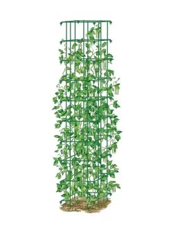 Bean Tower -Garden Supplies 8587060 0008 GRN tif