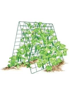 Deluxe Cucumber Trellis -Garden Supplies 8587083 001 GRN tif