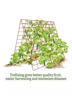 Deluxe Cucumber Trellis -Garden Supplies 8587083 2
