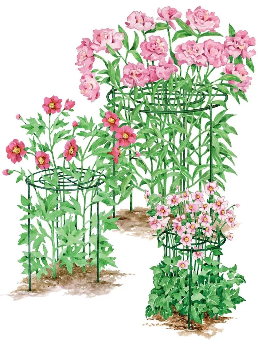 Grow Through Supports, Set Of 3 1 Grow Through Supports, Set Of 3