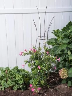 Jardin Pot Trellis -Garden Supplies 8587120 0028 tif