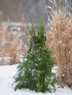 Jardin Pot Trellis -Garden Supplies 8587120 009 tif