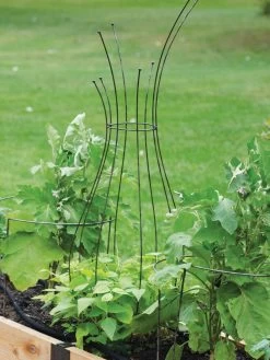 Jardin Pot Trellis -Garden Supplies 8587120 7037 tif