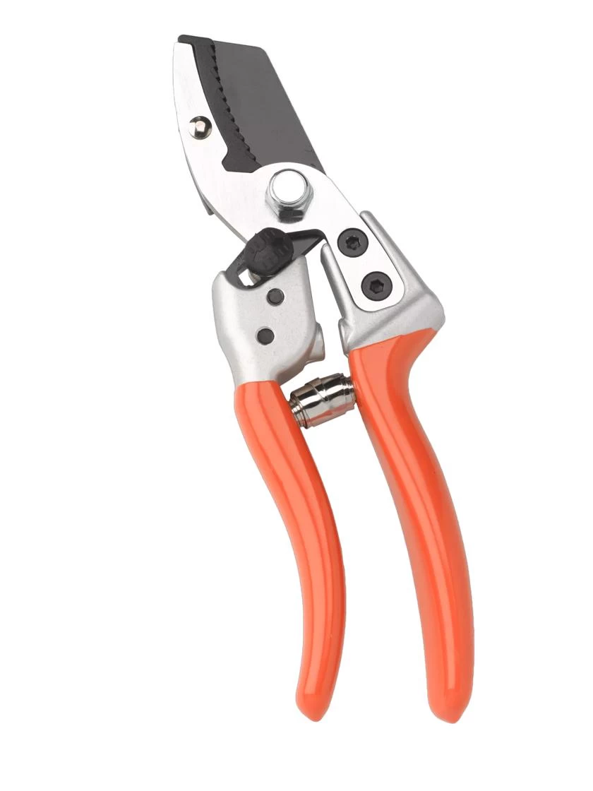 Anvil Pruners 1 Anvil Pruners