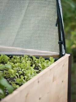 Protection Frame & Covers, 2' X 4' 8 Protection Frame & Covers, 2' X 4' -Garden Supplies 8587631 265 tif 1