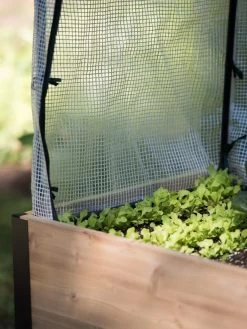 Protection Frame & Covers, 2' X 4' 9 Protection Frame & Covers, 2' X 4' -Garden Supplies 8587631 268 tif 1