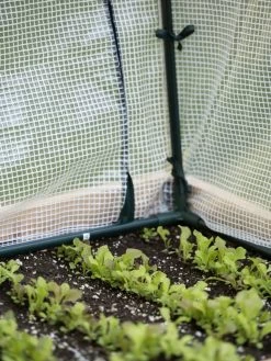 Protection Frame & Covers, 2' X 4' 10 Protection Frame & Covers, 2' X 4' -Garden Supplies 8587631 271 tif 1