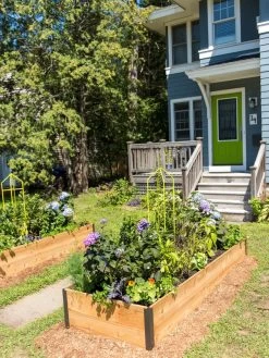 Zenith Folding Garden Supports, Set Of 2 14 Zenith Folding Garden Supports, Set Of 2 -Garden Supplies 8587807 0801 tif