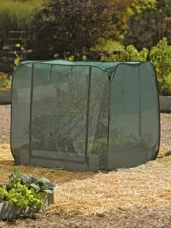 Pest Control Pop-Ups 11 Pest Control Pop-Ups -Garden Supplies 8587859 026 tif