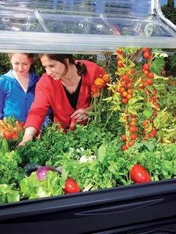 Canopia® By Palram Plant Inn™ Raised Bed Greenhouse, 4' X 4' -Garden Supplies 8588308 03V tif