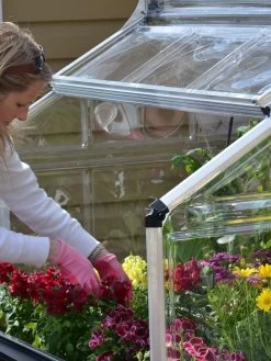 Canopia® By Palram Plant Inn™ Raised Bed Greenhouse, 4' X 4' -Garden Supplies 8588308 04V tif