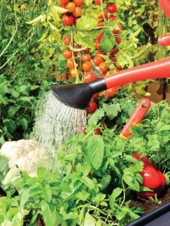 Canopia® By Palram Plant Inn™ Raised Bed Greenhouse, 4' X 4' -Garden Supplies 8588308 06V tif