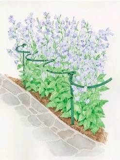 Tidy Path Supports -Garden Supplies 8588403 003 1