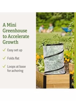 Pop-Up Tomato Accelerator -Garden Supplies 8589749 feature 2