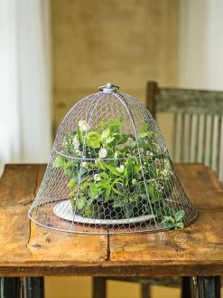 Chicken Wire Cloche -Garden Supplies 8590210 1 tif