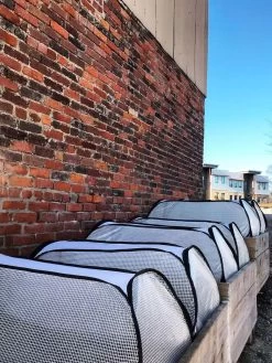 Row Shelter Accelerator -Garden Supplies 8591990 01IN tif