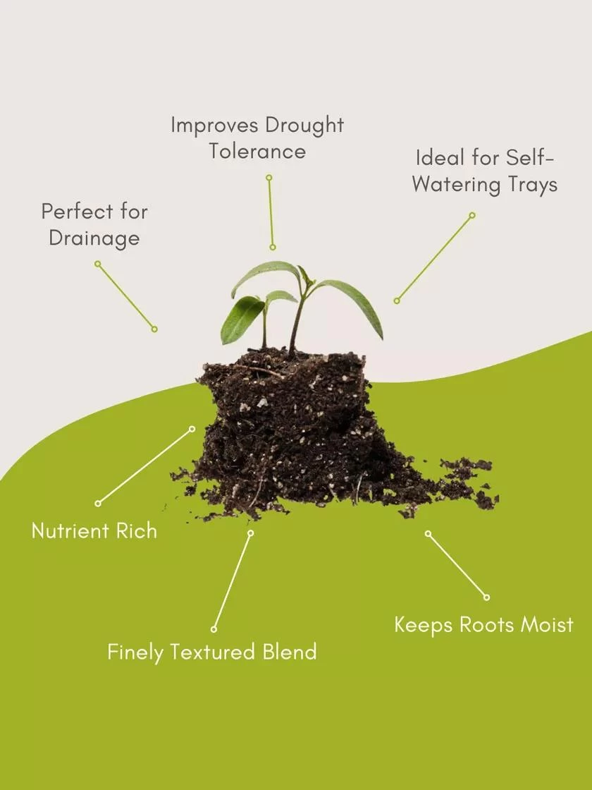 Organic Self-Watering Potting Mix, 20 Qts. 4 Organic Self-Watering Potting Mix, 20 Qts. - Image 4