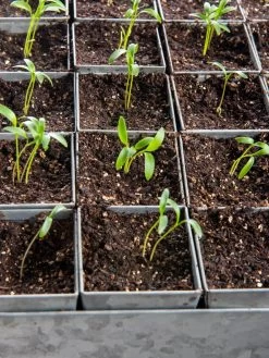 Seed Starting Mix, 9 Qts. 10 Seed Starting Mix, 9 Qts. -Garden Supplies 8592212 6177