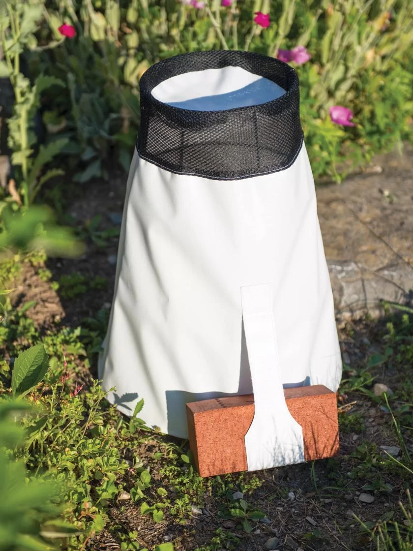 Rosy Cozy® Rose Cone, Large 4 Rosy Cozy® Rose Cone, Large - Image 4