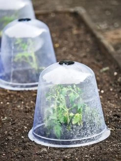 Large Garden Cloches, Set Of 3 -Garden Supplies 8593984 9432 tif